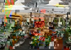 Stand de la Banane de Guadeloupe & Martinique à Ecueillé.